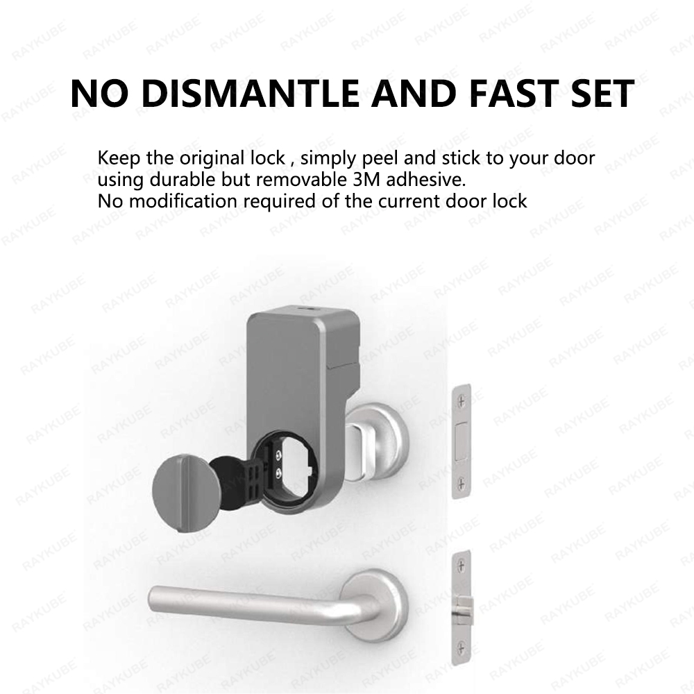 RAYKUBE A1 Pro Tuya BEL Set Ku - Woodworking App ulasan dan harga