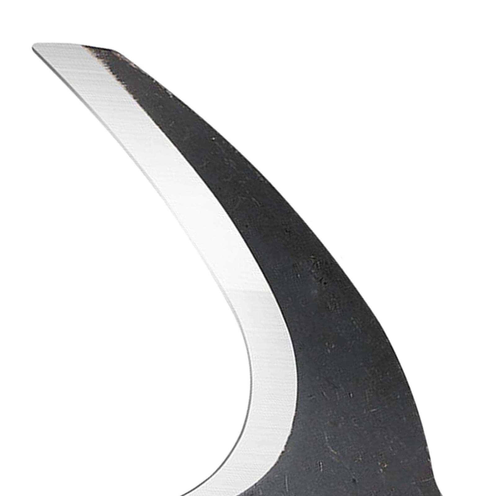 Kapak Kebun Baja dengan Desain - Woodworking Rasp ulasan dan harga